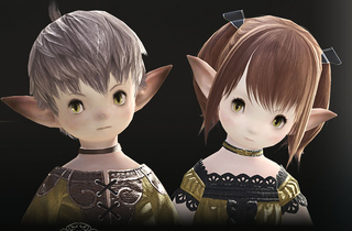 Illustration for article titled The 10 Tribes Of Final Fantasy XIV - Oh Look, Dark Elves!